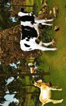 pk farm eid animal transporter游戲截圖4