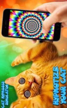 猫催眠 - 幻想游戏截图1
