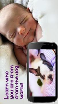 Photo Scanner: Dog by Face游戲截圖2