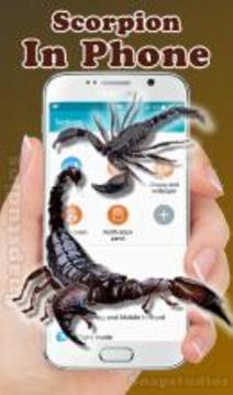 Scorpion on screen run in phone prank游戲截圖3