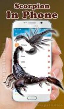 Scorpion on screen run in phone prank游戲截圖4