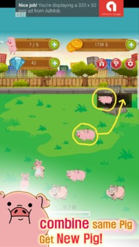 Breeding of Pigs游戲截圖2