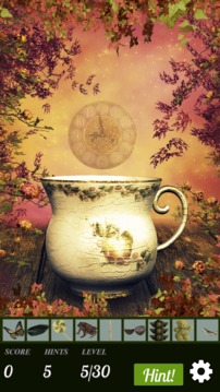 Hidden Object - Briar Rose游戲截圖3