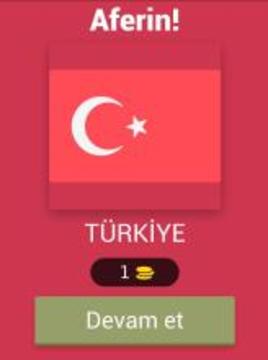 ülke Bayraklar? Testi游戲截圖5