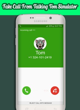 Call From Talking Tom游戲截圖1