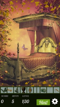 Hidden Object - Briar Rose游戲截圖1