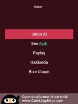 ülke Bayraklar? Testi游戲截圖1