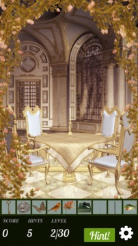 Hidden Object - Briar Rose游戲截圖2