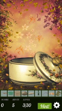 Hidden Object - Briar Rose游戲截圖5