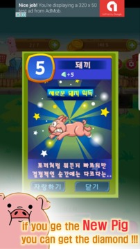 Breeding of Pigs游戲截圖5