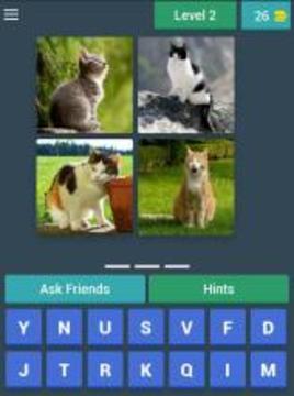 Guess the Mammal游戲截圖4