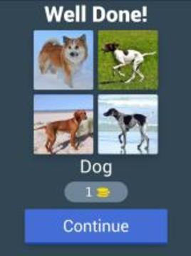 Guess the Mammal游戲截圖2