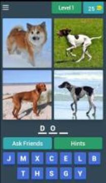 Guess the Mammal游戲截圖1