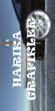 Araba Yar??? : 3D Pro游戲截圖1