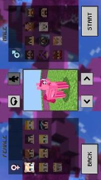 Fairy Craft: Pony & Girls游戲截圖2