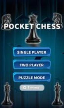 Pocket Chess 2017游戲截圖5