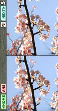 Spot the Difference2017游戲截圖3