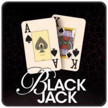BlackJack GO!游戏截图3