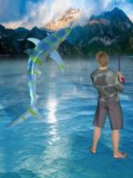 Fishing Shark Diary游戲截圖1