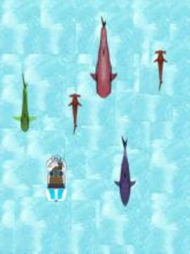 Fishing Shark Diary游戲截圖4