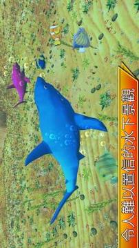 野生 海 鯨 動(dòng)物游戲截圖3
