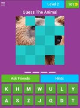 Guess The Animal Pics游戲截圖4