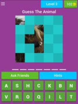 Guess The Animal Pics游戲截圖5