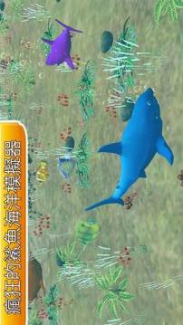 野生 海 鯨 動(dòng)物游戲截圖4