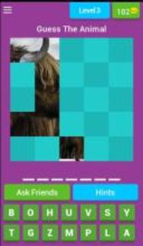 Guess The Animal Pics游戲截圖1