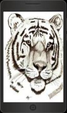How to Draw Animal游戲截圖1