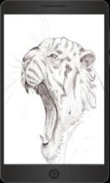 How to Draw Animal游戲截圖2