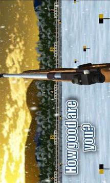 Biathlon x2游戲截圖1