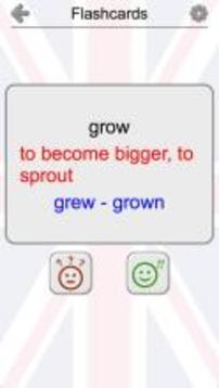 Learn English Irregular Verbs游戲截圖4
