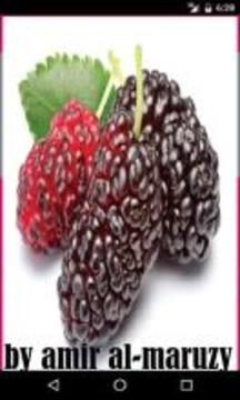 Tebak Buah Yang Berkhasiat游戲截圖1