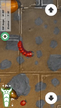 Insatiable Snake游戲截圖4