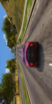 Pro Driving School 2017游戲截圖4