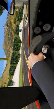 Pro Driving School 2017游戲截圖3