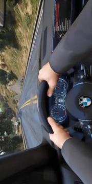 Pro Driving School 2017游戲截圖1