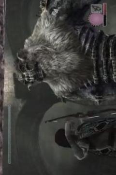 Game Shadow Of The Colossus Guide游戲截圖1