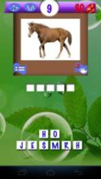 Pics Animals Quiz游戲截圖2