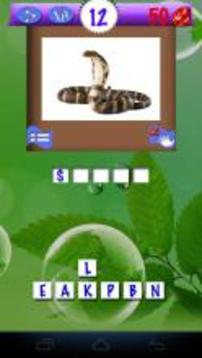 Pics Animals Quiz游戲截圖5