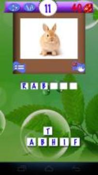 Pics Animals Quiz游戲截圖4