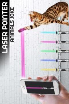 Laser Pointer Animal游戲截圖2