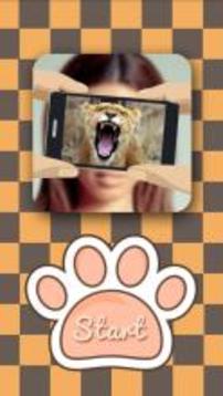What animal am i?游戲截圖1