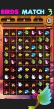 Angry Hunting Birds Match 3游戲截圖1