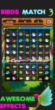 Angry Hunting Birds Match 3游戲截圖3
