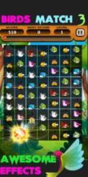 Angry Hunting Birds Match 3游戲截圖2