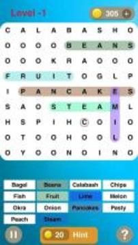 Word Search 2017游戲截圖4
