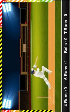 New Cricket Worldcup 2016游戲截圖2