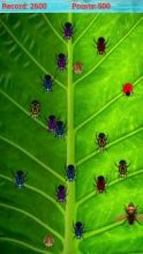 Bug Smasher Free游戲截圖4